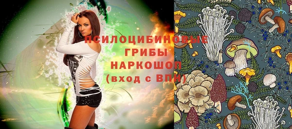 эйфоретик Кинешма