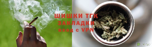 стаф Карпинск