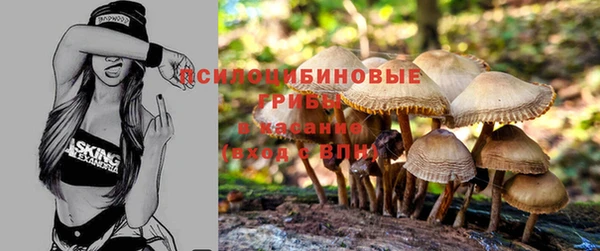 эйфоретик Кинешма