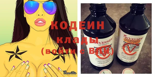 молекула духа Козельск