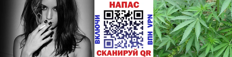 Марихуана план  Козьмодемьянск 